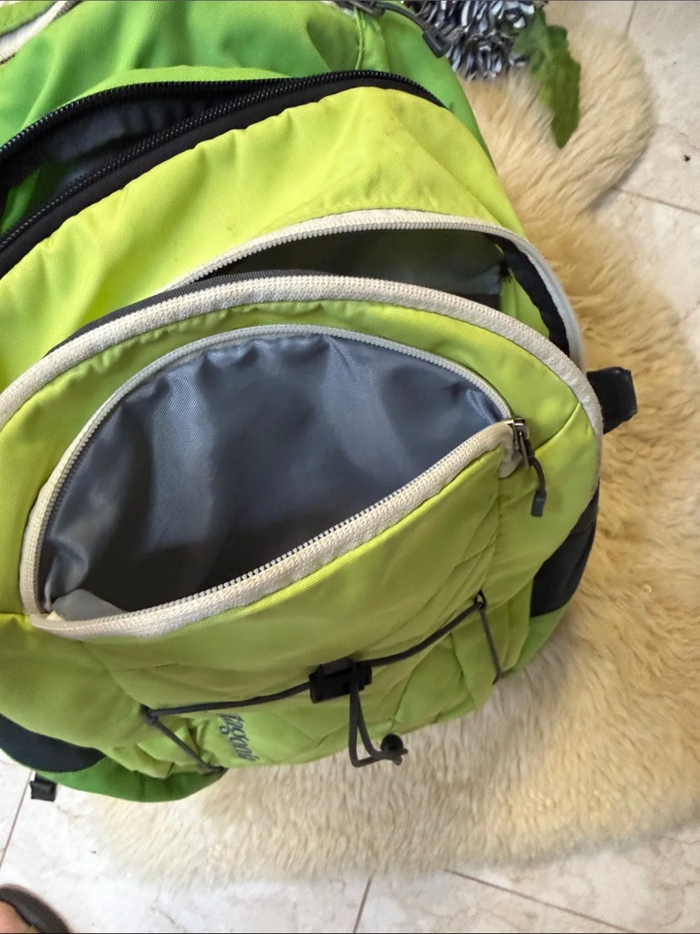 Patagonia Lime Green  Outdoor Daypack